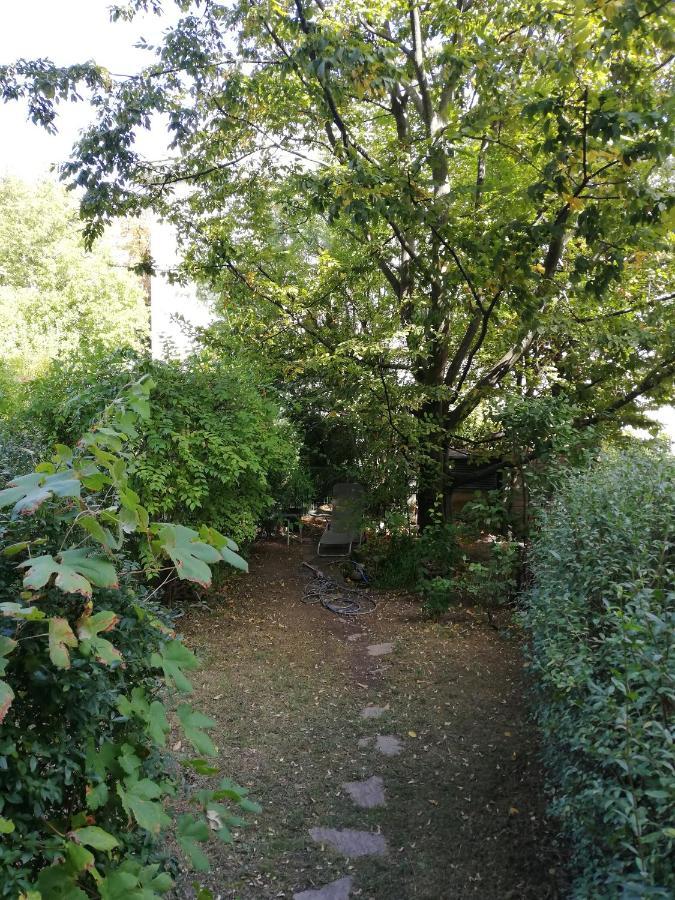 Room In Maisonette With Garden, Parking Place Vienna Luaran gambar